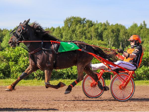 Ekstrands Bärgarn