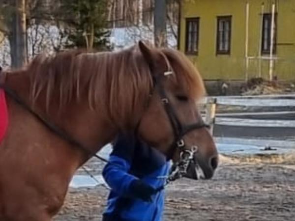 Taika-Tähkä