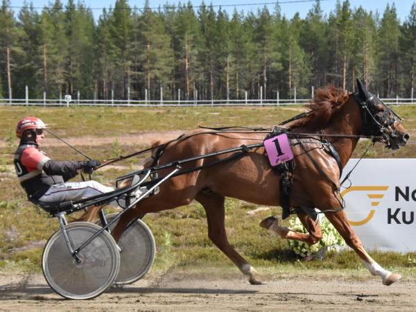 Käskynhaltija