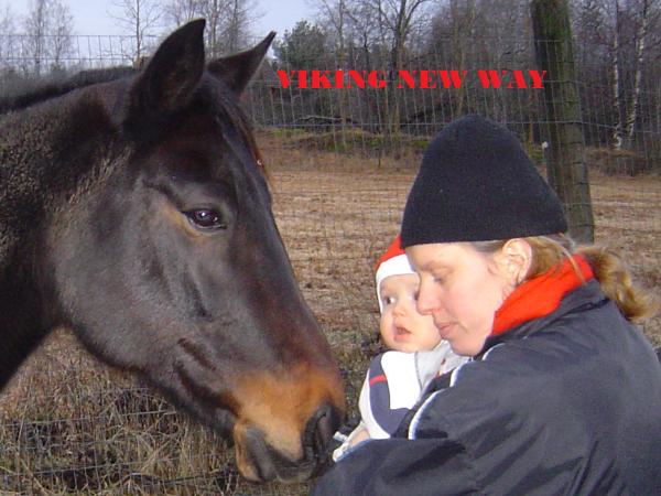 Viking New Way