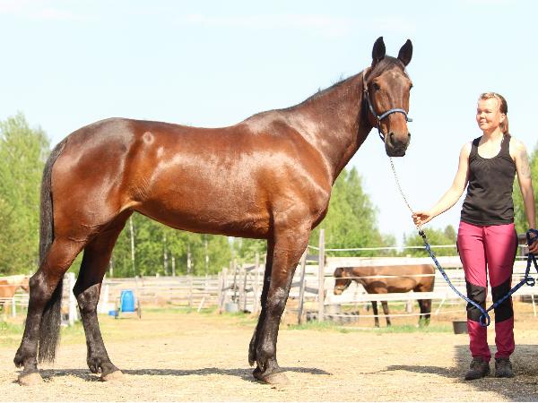 Hillbilly Jolene