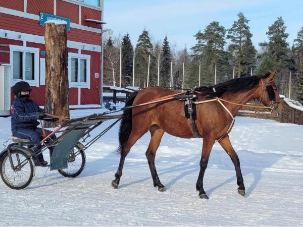 Zelles Finlandia