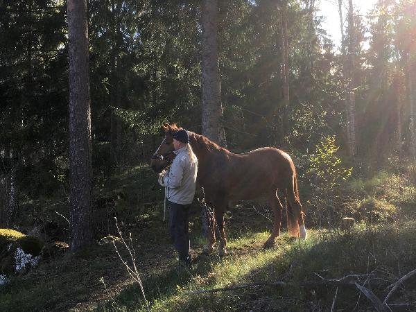 Jennyn Ryökäle