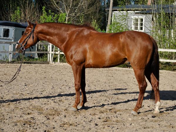Milord Fernando