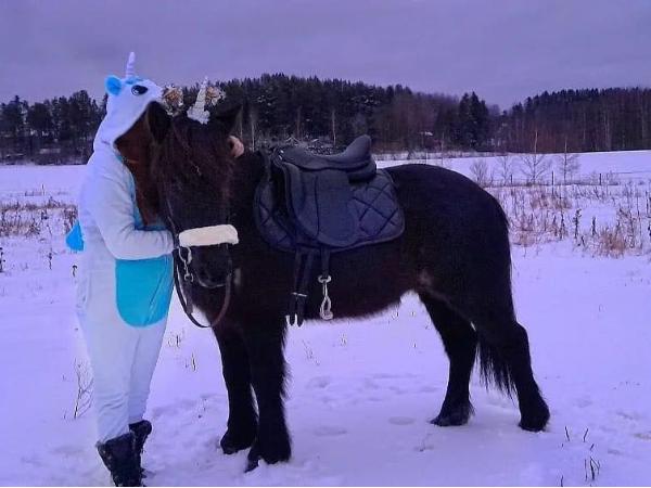Freyja frá Völlum