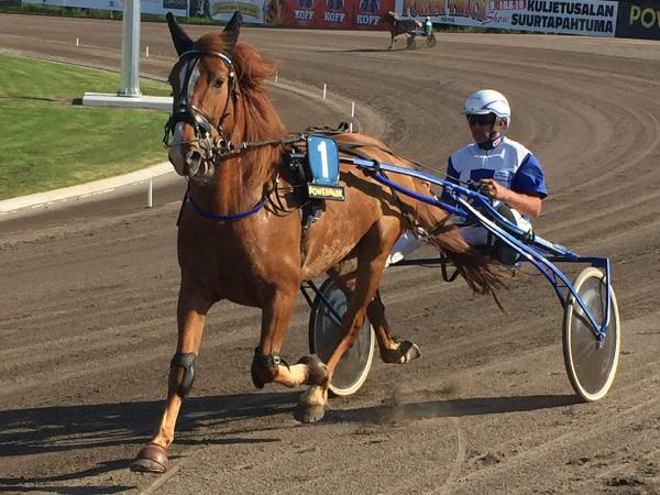 Kankalon Sälli