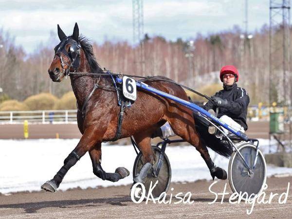 Enzo Xpress