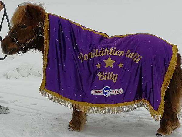 Billy SWE