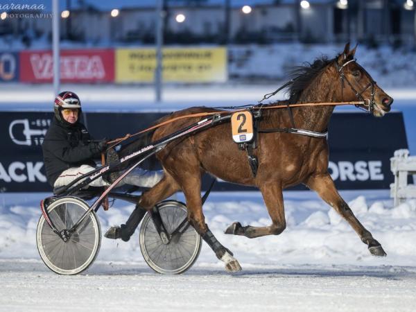 Luca Fastback
