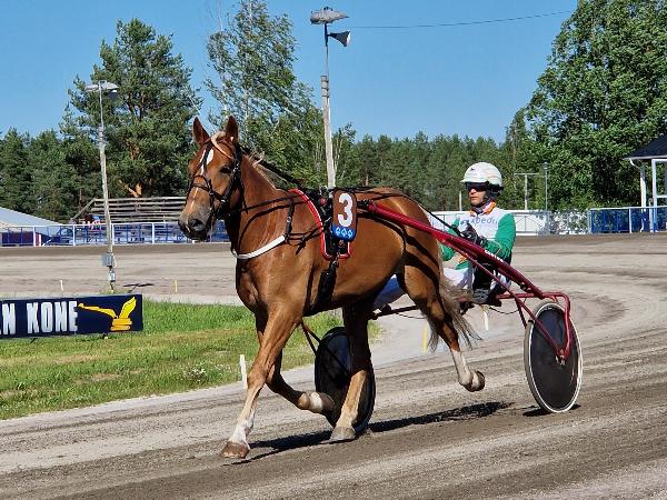 Kotirannan Veikko