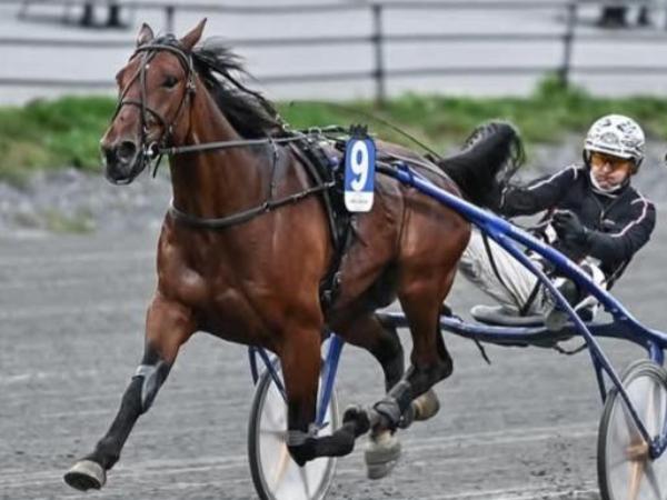 Epsom Kronos