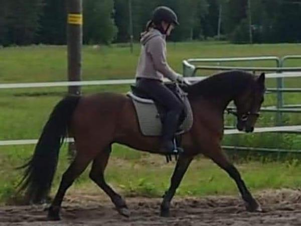 Kaspar Neva