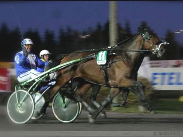 Star Hanno