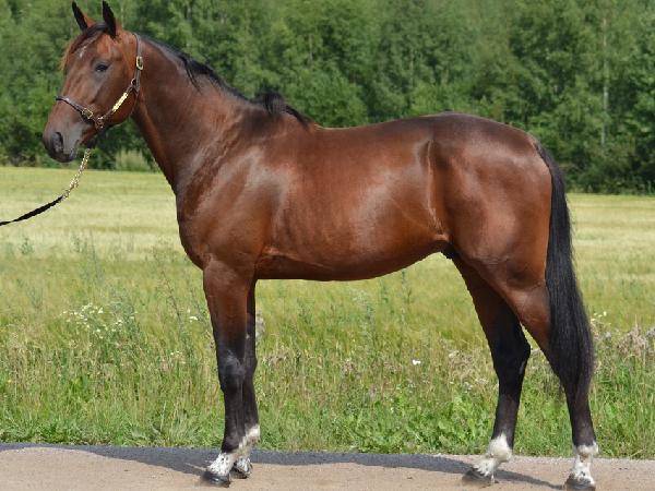 Chapitre Un