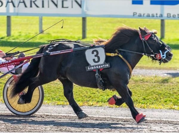 Niemenpellon Micke