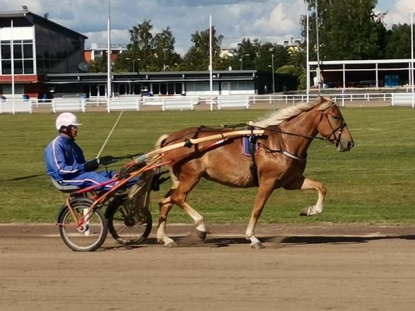Vähäkoo Ilone