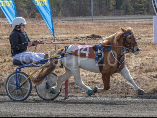 Kajsa Kavat