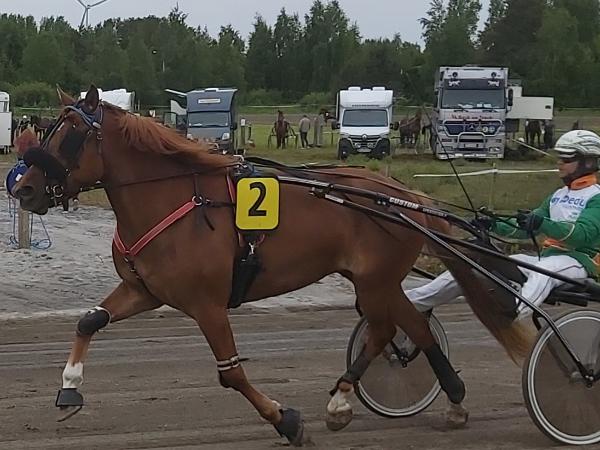 Erin Sävel