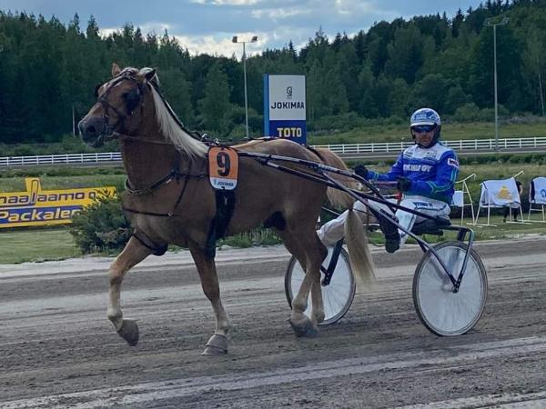 Vihtori