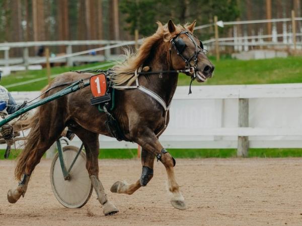Tähteys