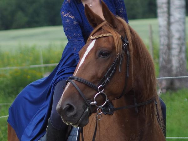 Liliane Windcape