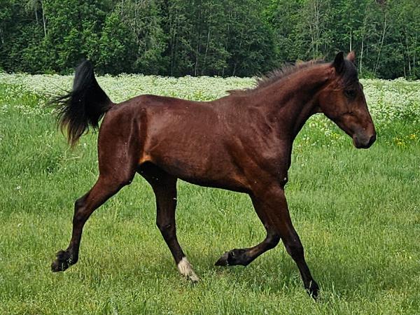 Cashstone