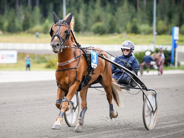 Teeäs Hullutella