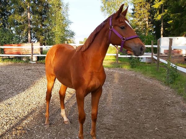 Tiny's Pretty Girl