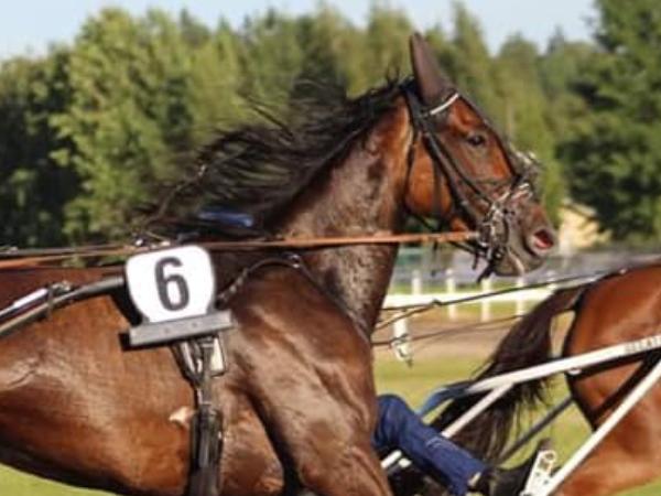 Entertainment Ås