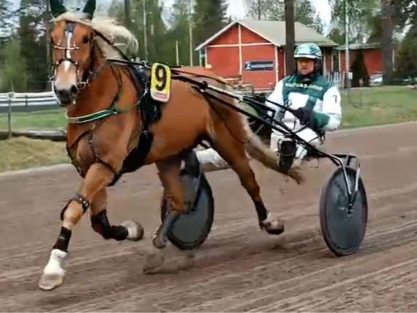 Vilikasko