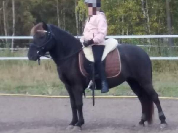 Förvånande Necku