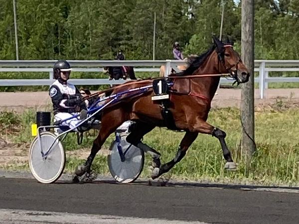 Langen's Elizabeth