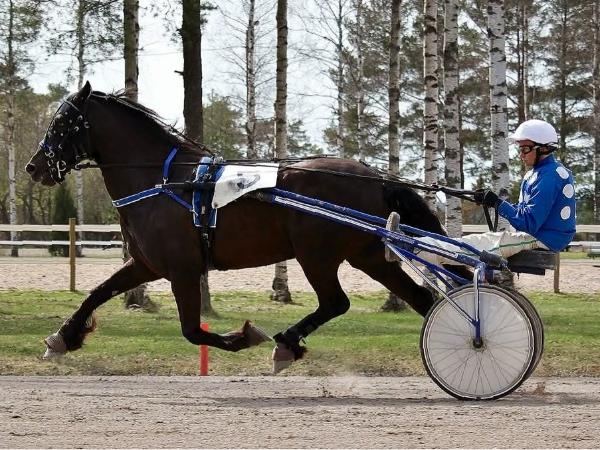 Eld Pål