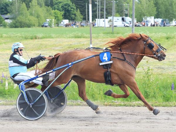 Veikee Viporiina