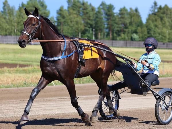 Midsummer Speed