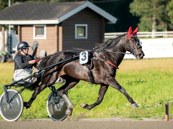 Winter Fruit