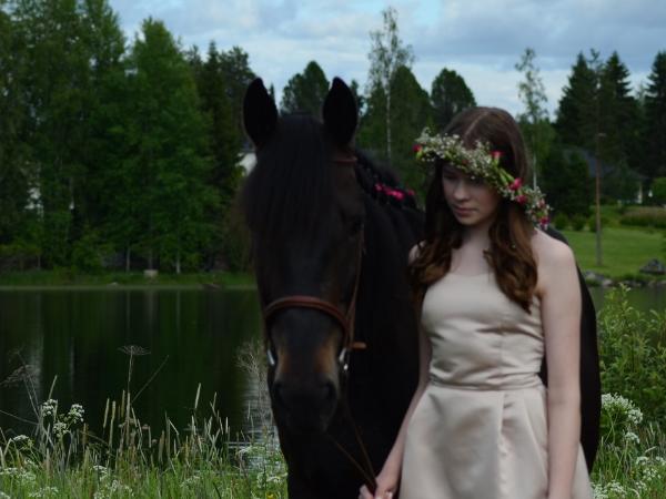 Sundsvik Quijote