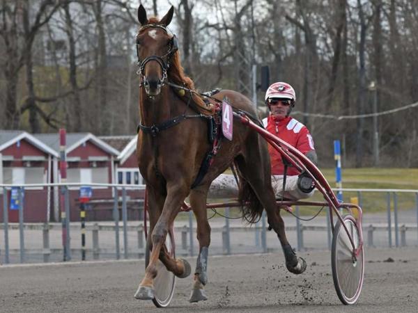 Havbergs Classic