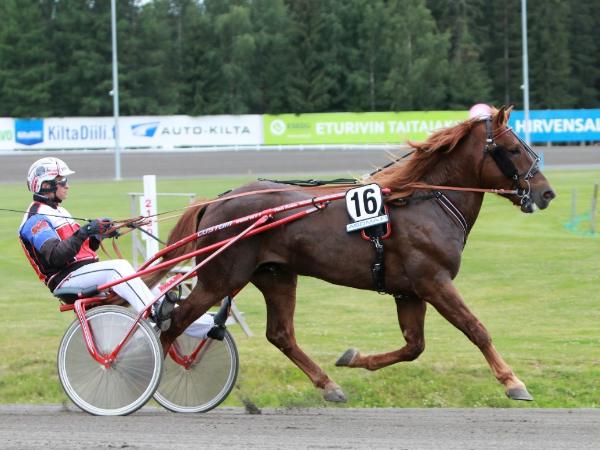 Matteus Kevätön