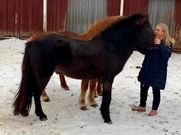 Vilhjálmur fra Vaahteramäki