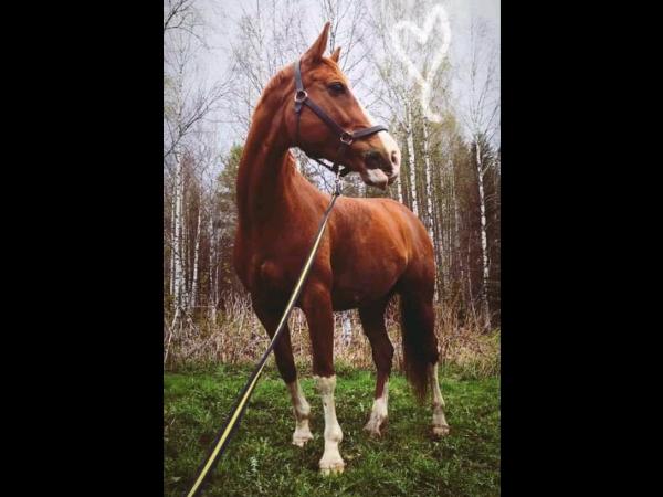 Indian Summer