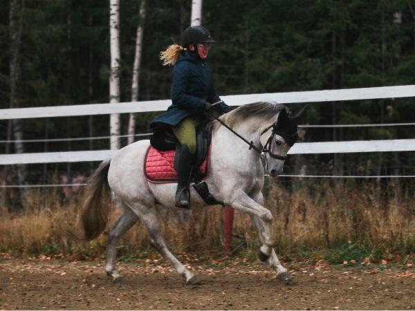 Springhill Glanmor