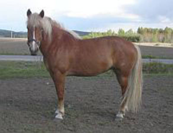 Kilpakka