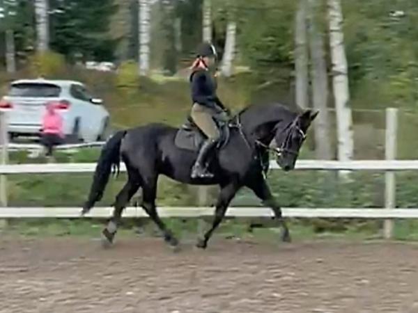 Hidde K.