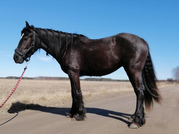 Tyynelän Wilma