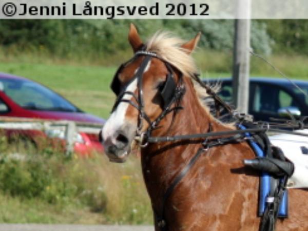 Helmen Liisa