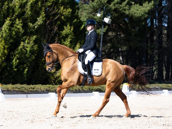 Donna Lottchen 3475
