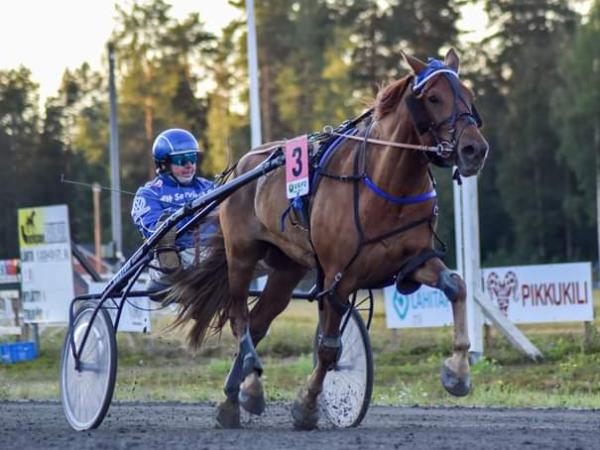 Katin Mestari