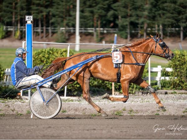 Välähdyksen Salama
