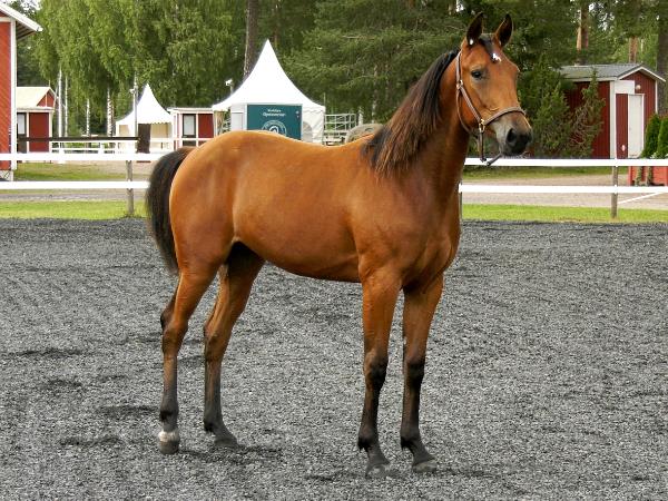 Bluehill's Viviane